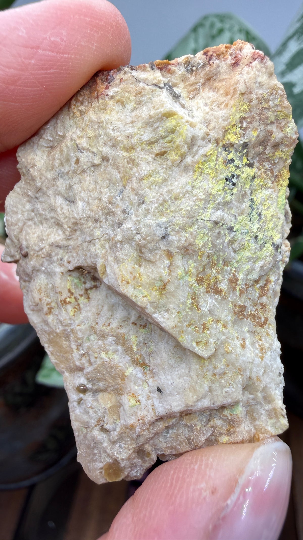 Autunite, Uranophane & Manganapatite– Canada
