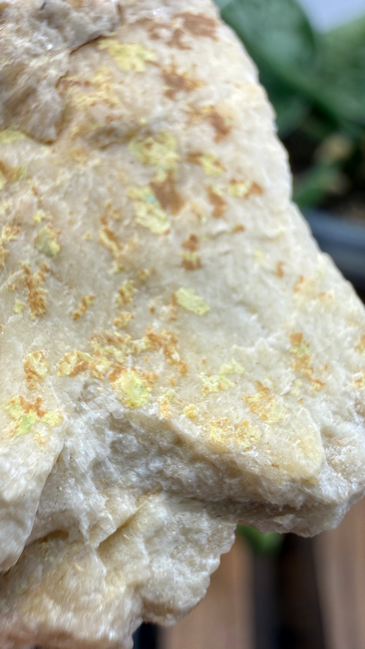 Autunite, Uranophane & Manganapatite– Canada