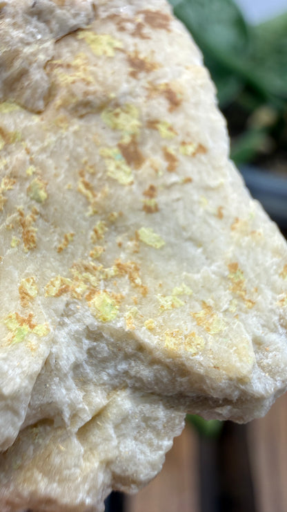 Autunite, Uranophane & Manganapatite– Canada