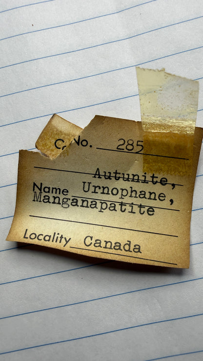 Autunite, Uranophane & Manganapatite– Canada