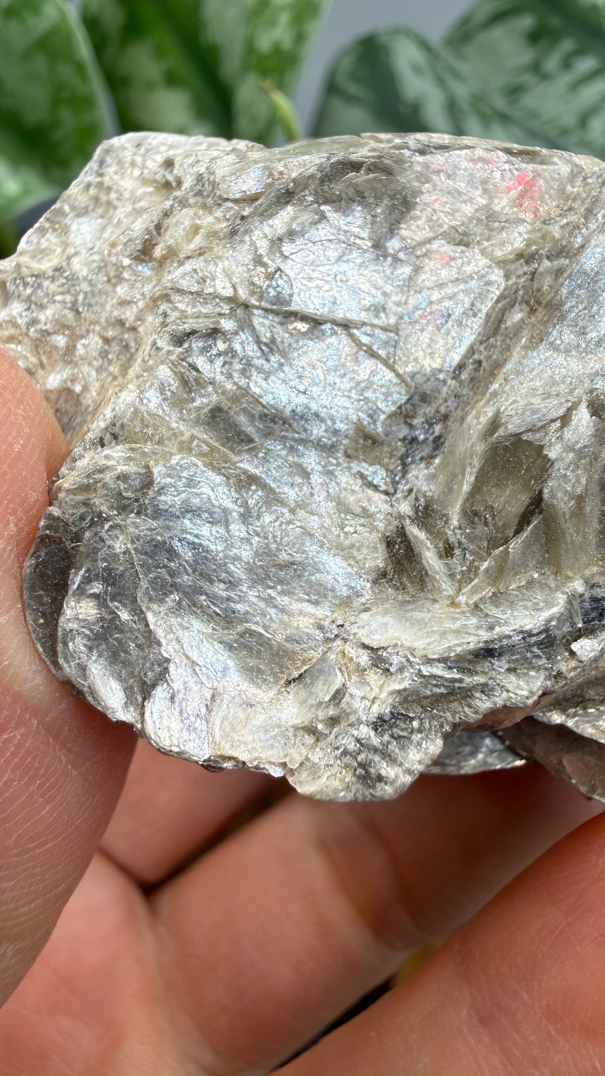 Margarodite (Muscovite–Paragonite Mica)– Connecticut