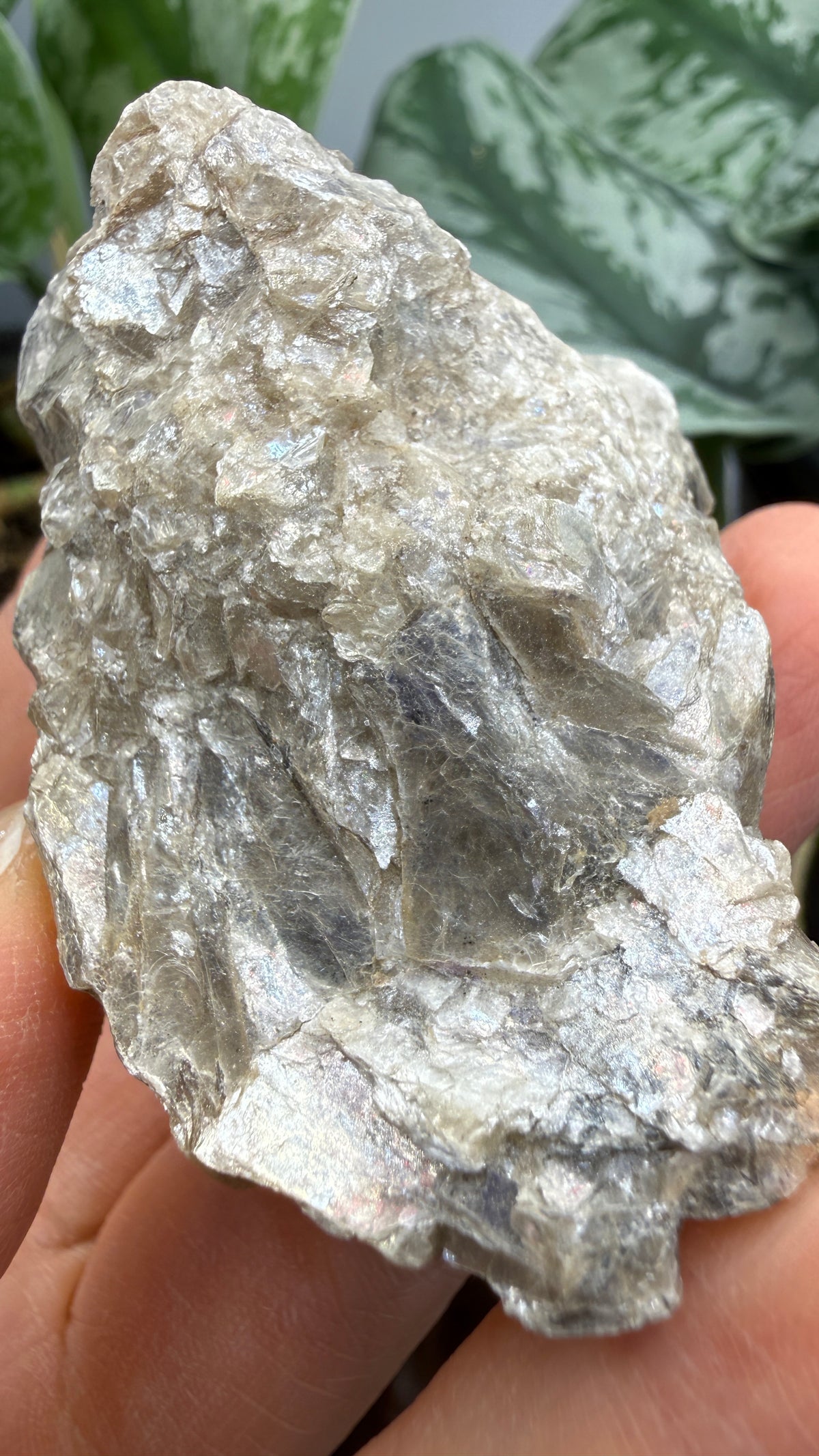Margarodite (Muscovite–Paragonite Mica)– Connecticut