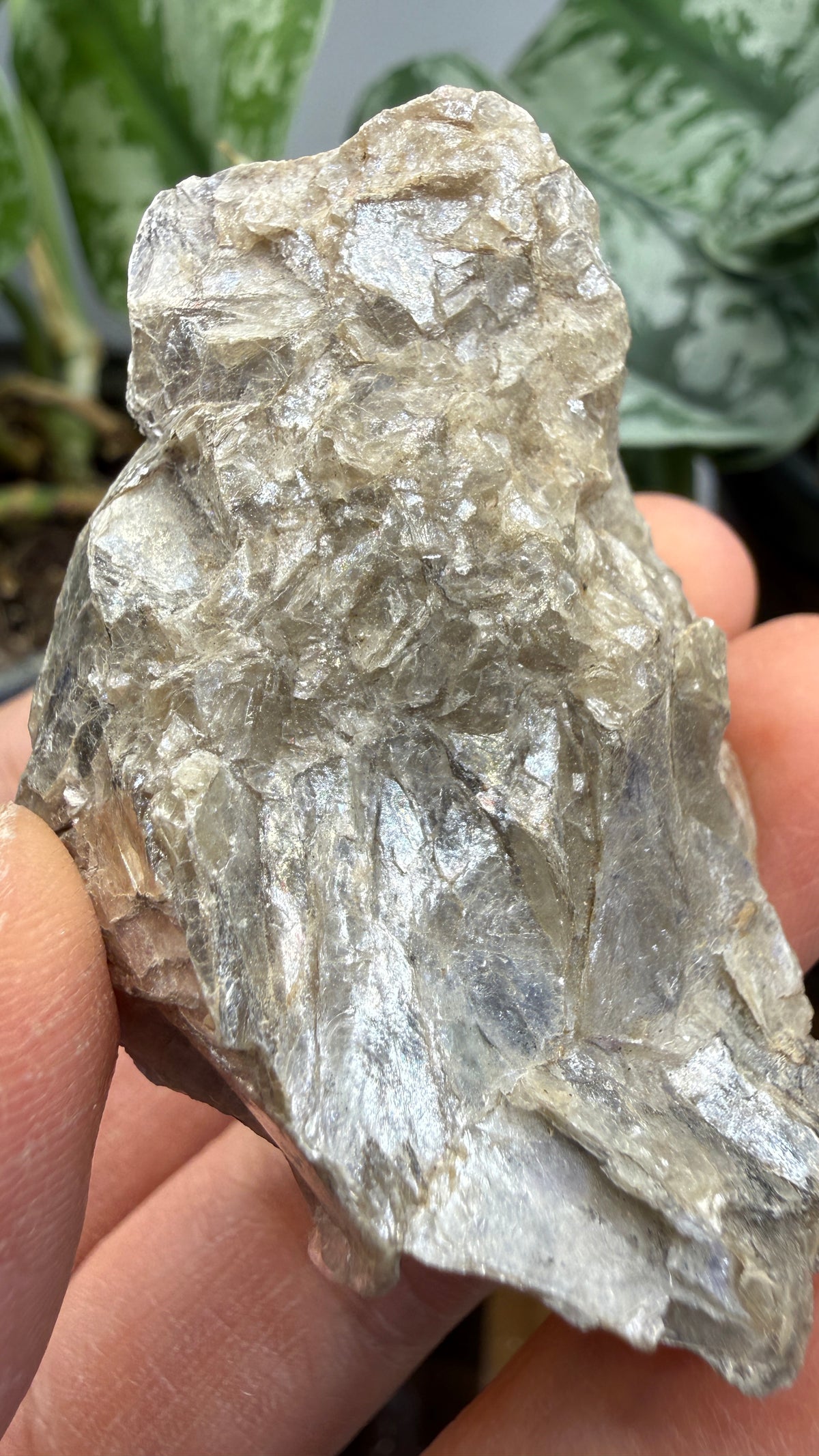 Margarodite (Muscovite–Paragonite Mica)– Connecticut