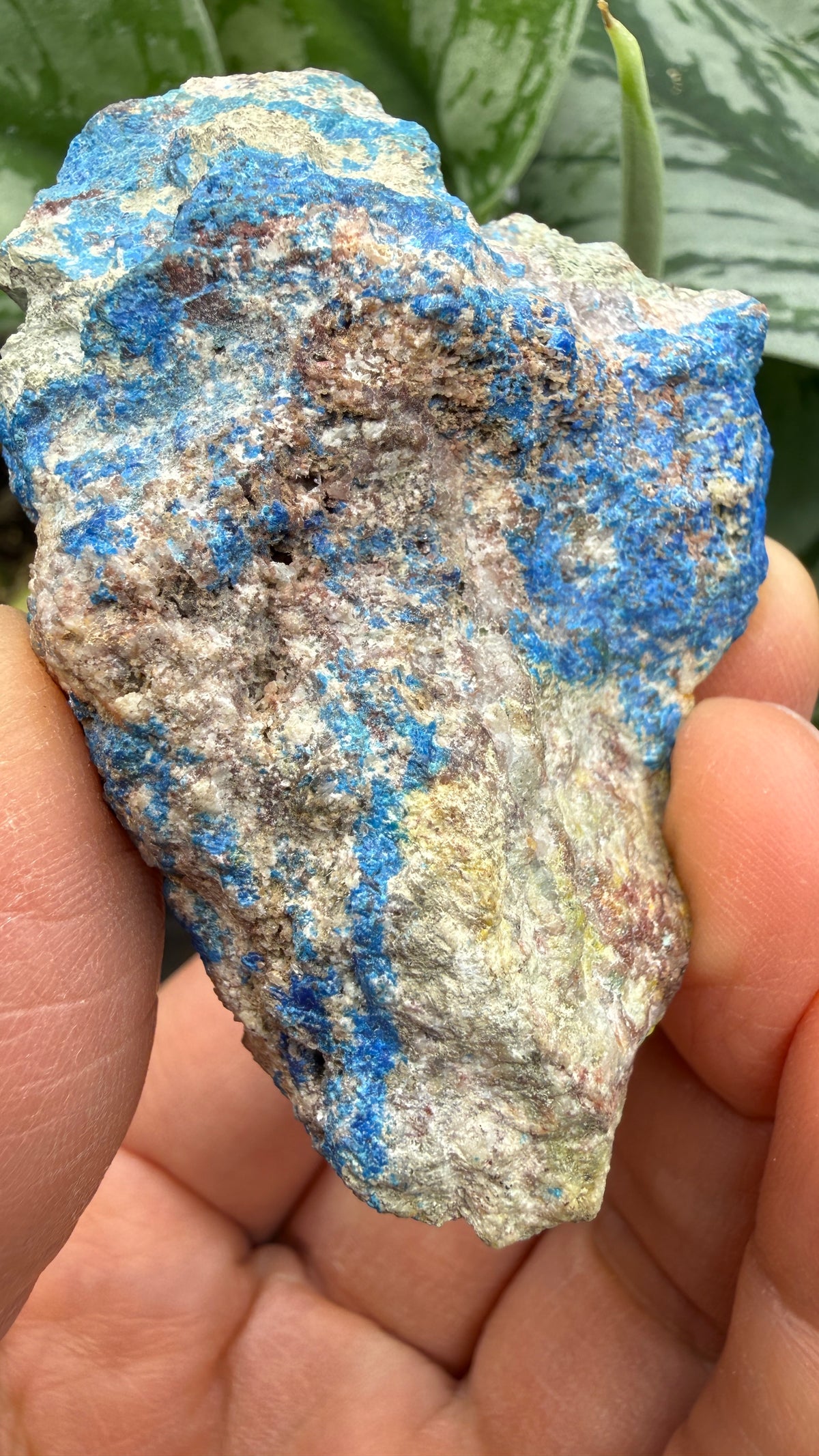 Linarite & Diaboleite- Mammoth-Saint Anthony Mine, St. Anthony deposit, Tiger, Mammoth Mining, Pinal Co, Arizona, USA