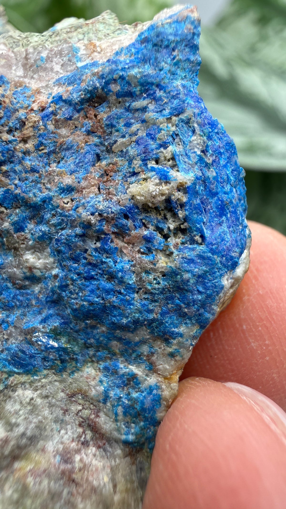 Linarite & Diaboleite- Mammoth-Saint Anthony Mine, St. Anthony deposit, Tiger, Mammoth Mining, Pinal Co, Arizona, USA