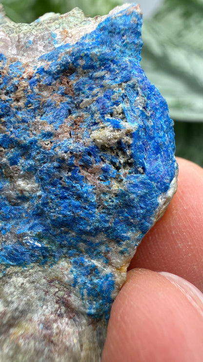 Linarite & Diaboleite- Mammoth-Saint Anthony Mine, St. Anthony deposit, Tiger, Mammoth Mining, Pinal Co, Arizona, USA