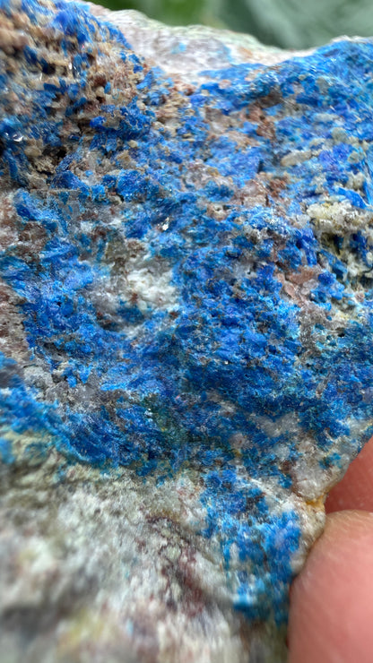Linarite & Diaboleite- Mammoth-Saint Anthony Mine, St. Anthony deposit, Tiger, Mammoth Mining, Pinal Co, Arizona, USA