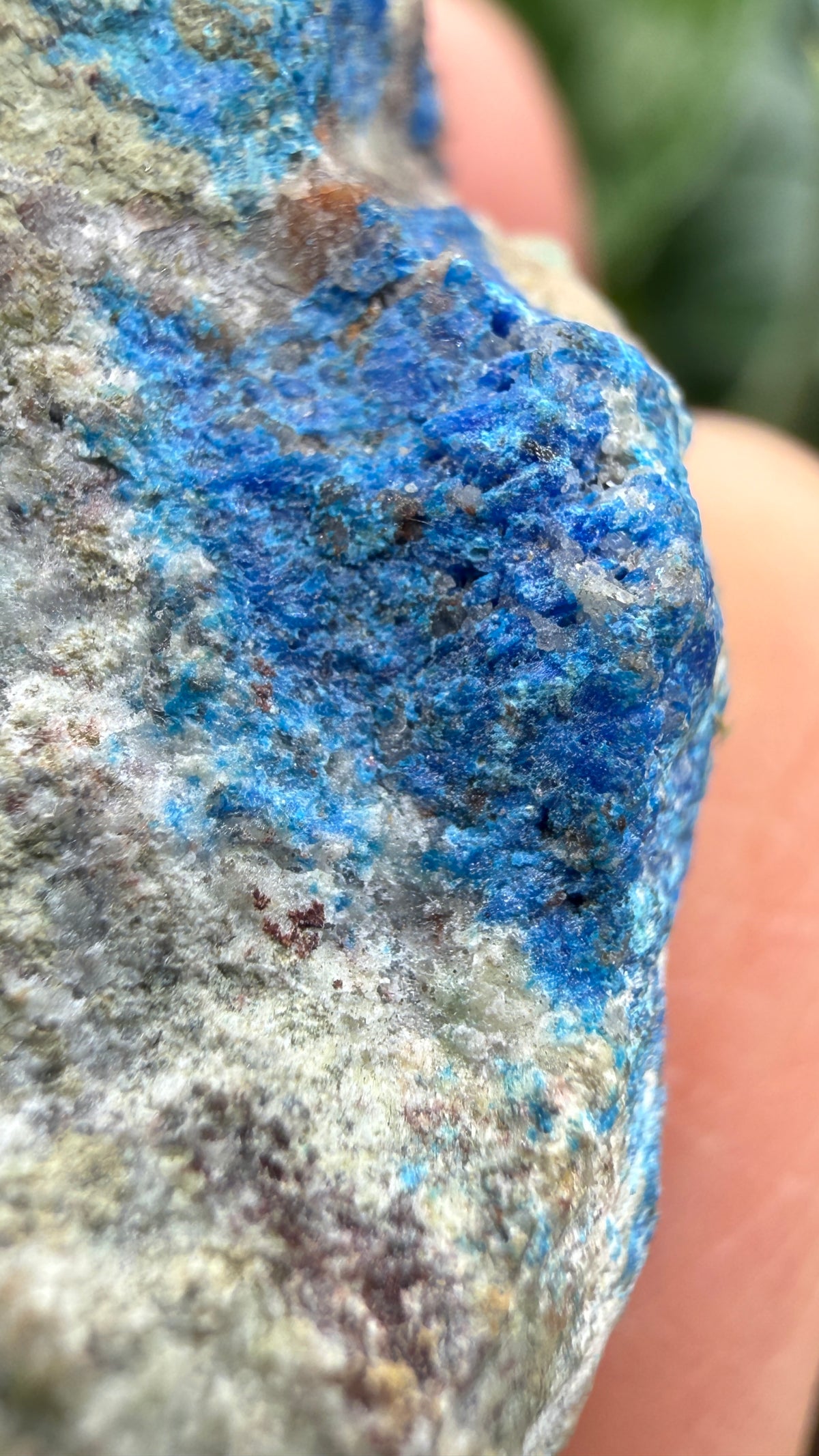 Linarite & Diaboleite- Mammoth-Saint Anthony Mine, St. Anthony deposit, Tiger, Mammoth Mining, Pinal Co, Arizona, USA