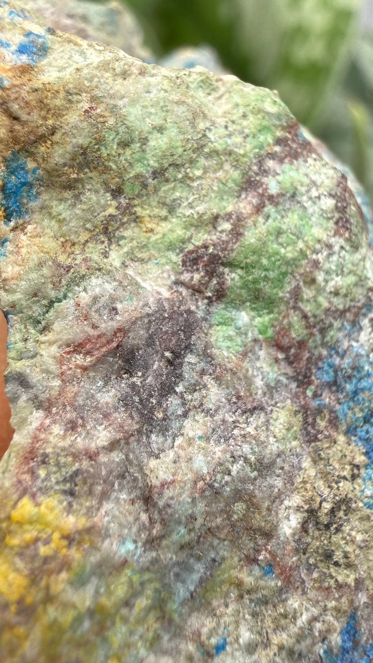 Linarite & Diaboleite- Mammoth-Saint Anthony Mine, St. Anthony deposit, Tiger, Mammoth Mining, Pinal Co, Arizona, USA