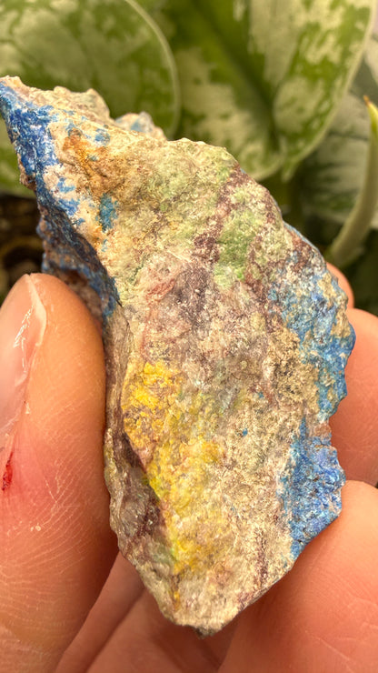 Linarite & Diaboleite- Mammoth-Saint Anthony Mine, St. Anthony deposit, Tiger, Mammoth Mining, Pinal Co, Arizona, USA