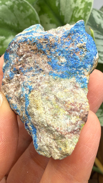 Linarite & Diaboleite- Mammoth-Saint Anthony Mine, St. Anthony deposit, Tiger, Mammoth Mining, Pinal Co, Arizona, USA