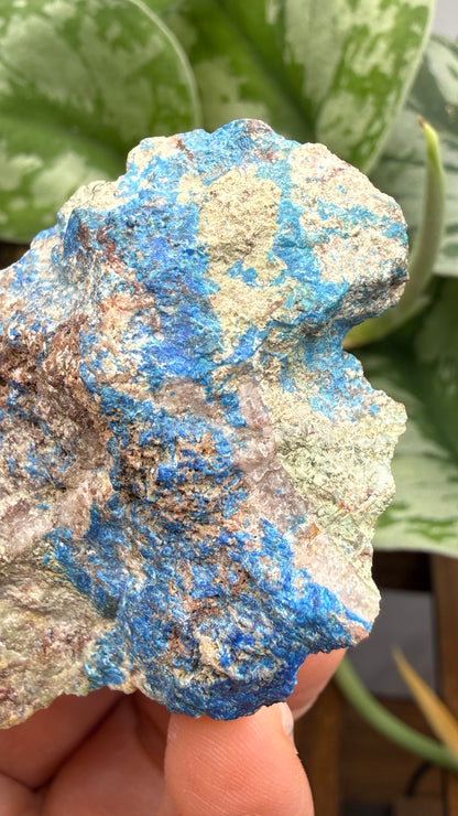 Linarite & Diaboleite- Mammoth-Saint Anthony Mine, St. Anthony deposit, Tiger, Mammoth Mining, Pinal Co, Arizona, USA