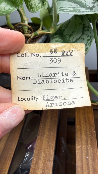 Linarite & Diaboleite- Mammoth-Saint Anthony Mine, St. Anthony deposit, Tiger, Mammoth Mining, Pinal Co, Arizona, USA