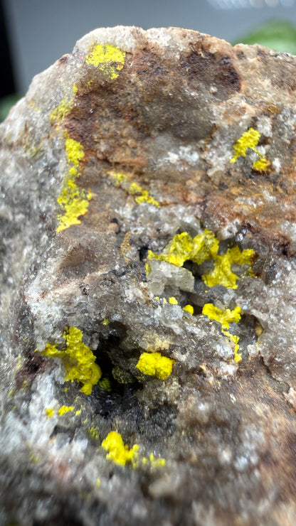 Tyuyamunite– Valencia County, New Mexico