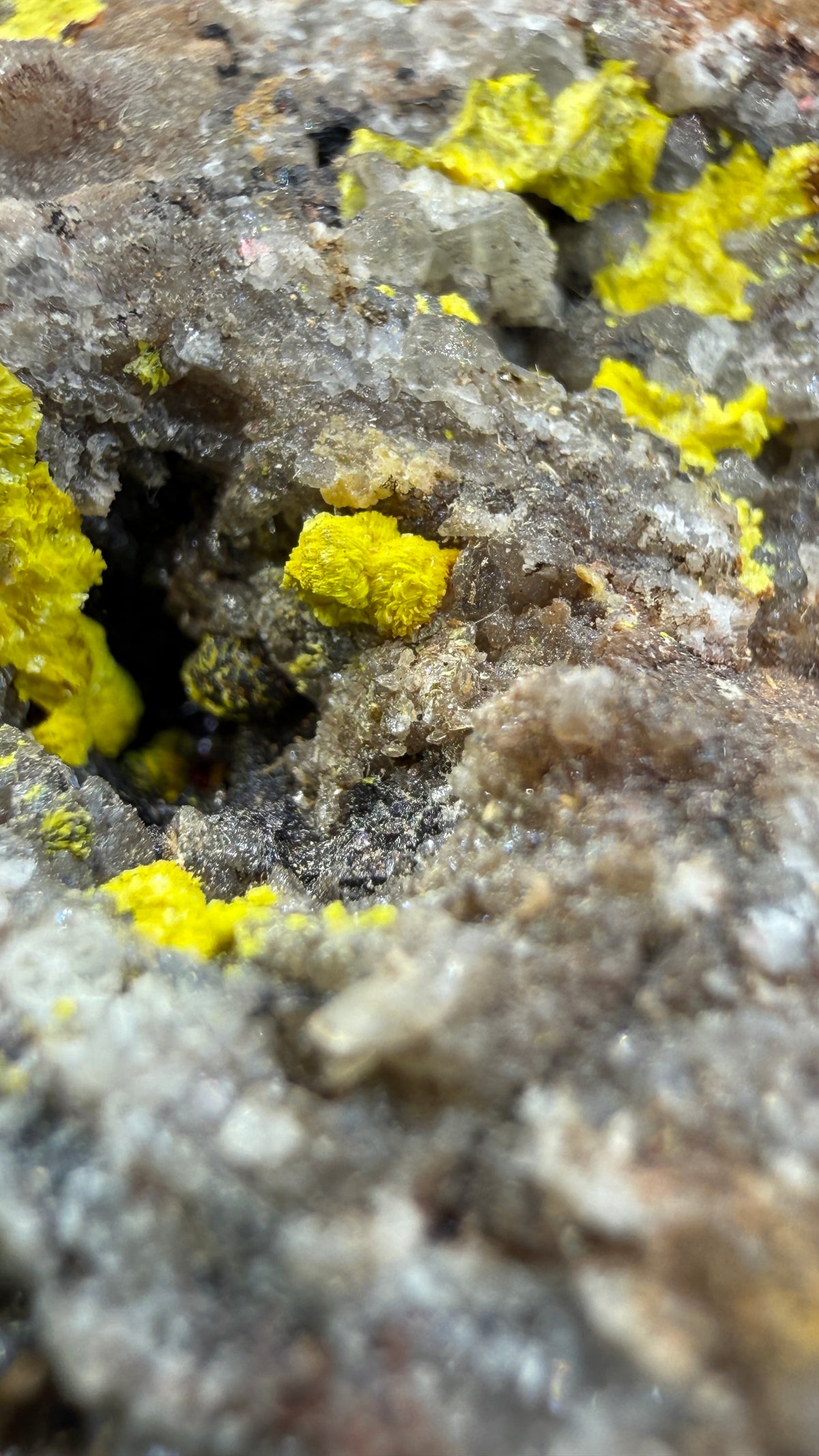 Tyuyamunite– Valencia County, New Mexico