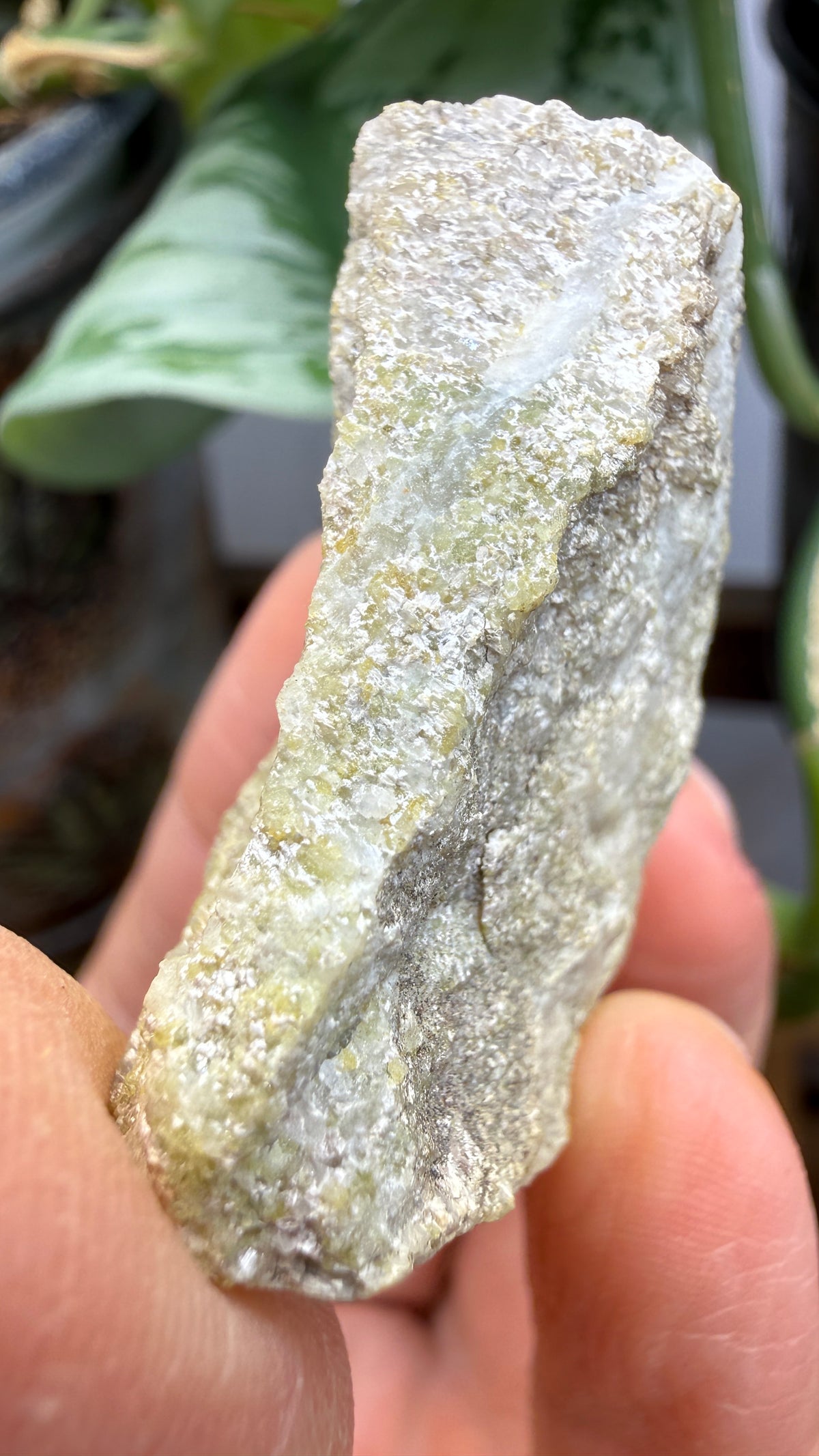 Wilkeite (Ellestadite) in Calcite- Crestmore Quarries, Jurupa Valley, Riverside Co, California, USA