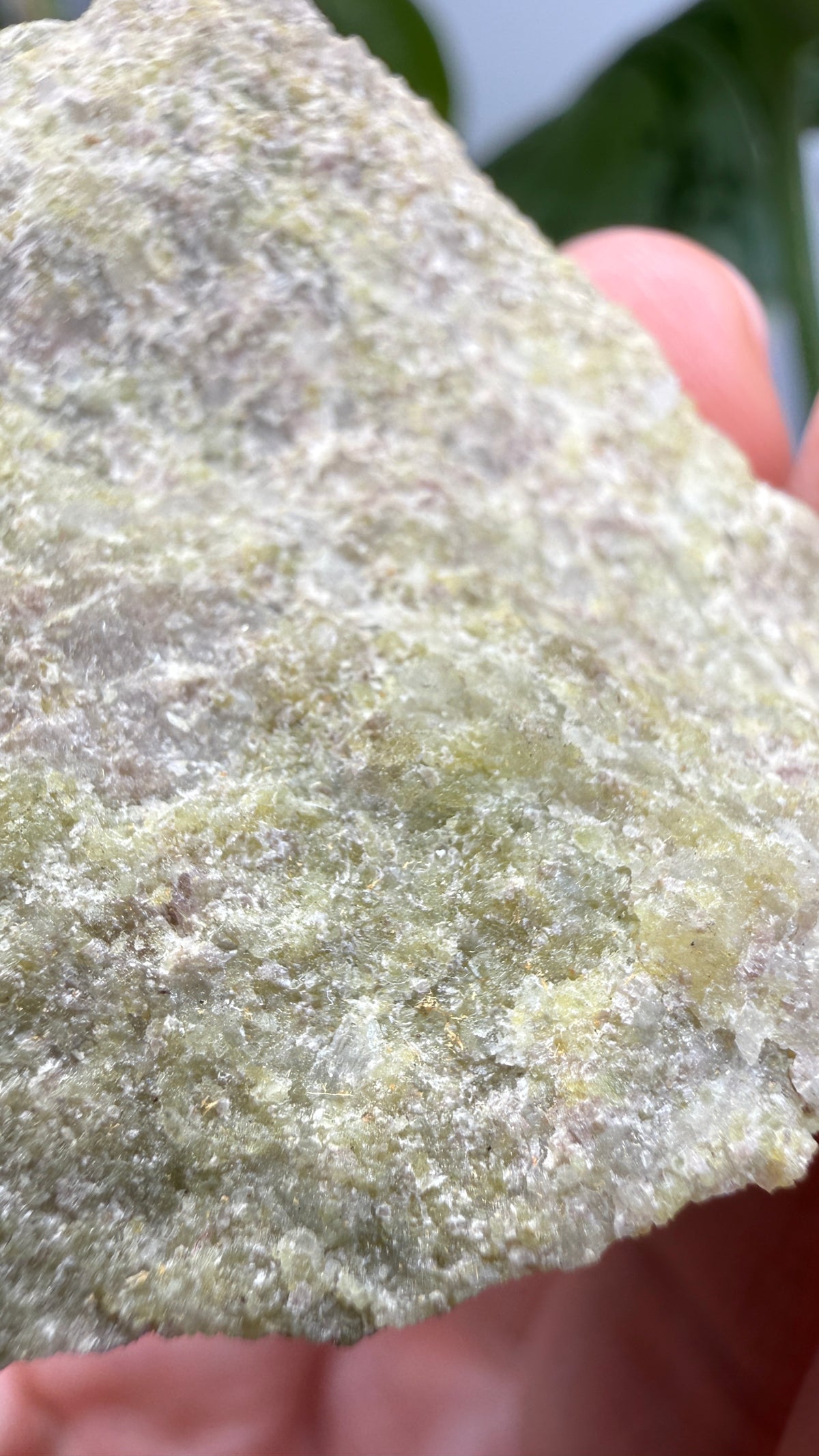 Wilkeite (Ellestadite) in Calcite- Crestmore Quarries, Jurupa Valley, Riverside Co, California, USA