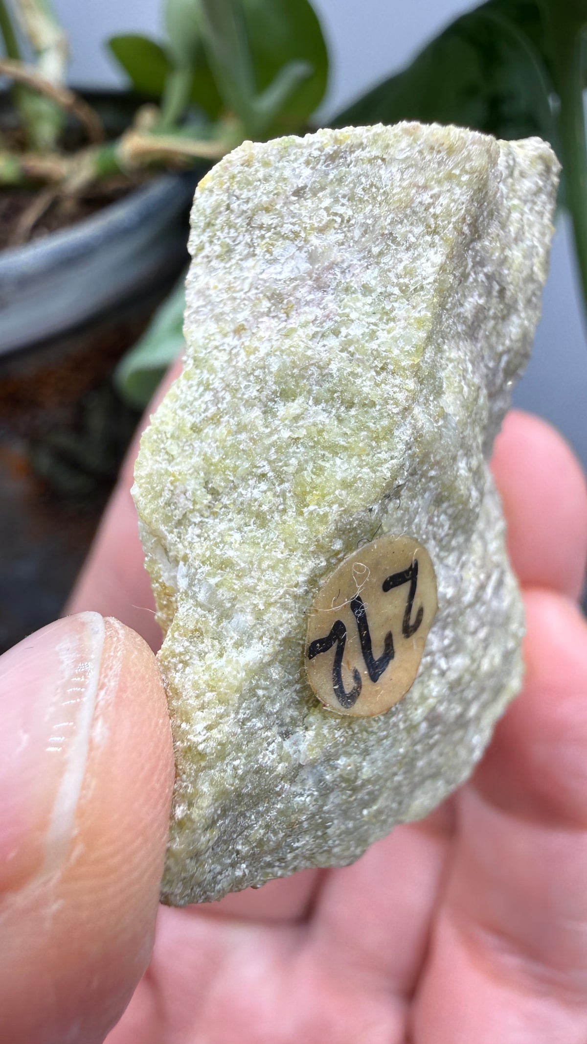 Wilkeite (Ellestadite) in Calcite- Crestmore Quarries, Jurupa Valley, Riverside Co, California, USA