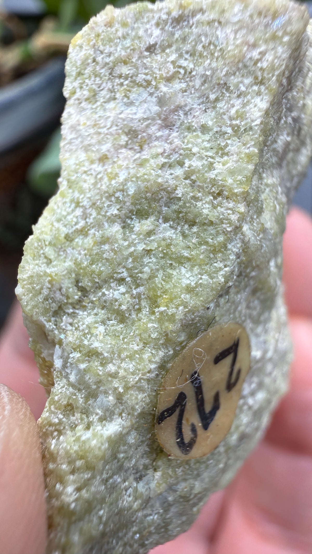 Wilkeite (Ellestadite) in Calcite- Crestmore Quarries, Jurupa Valley, Riverside Co, California, USA