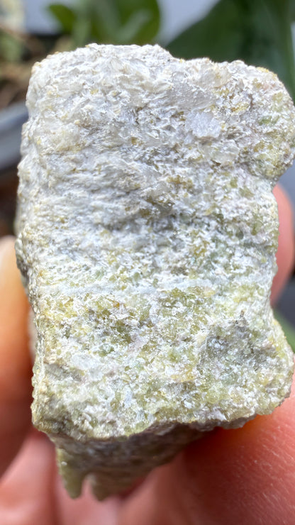 Wilkeite (Ellestadite) in Calcite- Crestmore Quarries, Jurupa Valley, Riverside Co, California, USA