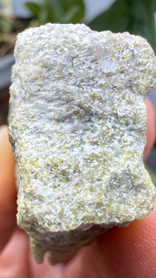 Wilkeite (Ellestadite) in Calcite- Crestmore Quarries, Jurupa Valley, Riverside Co, California, USA