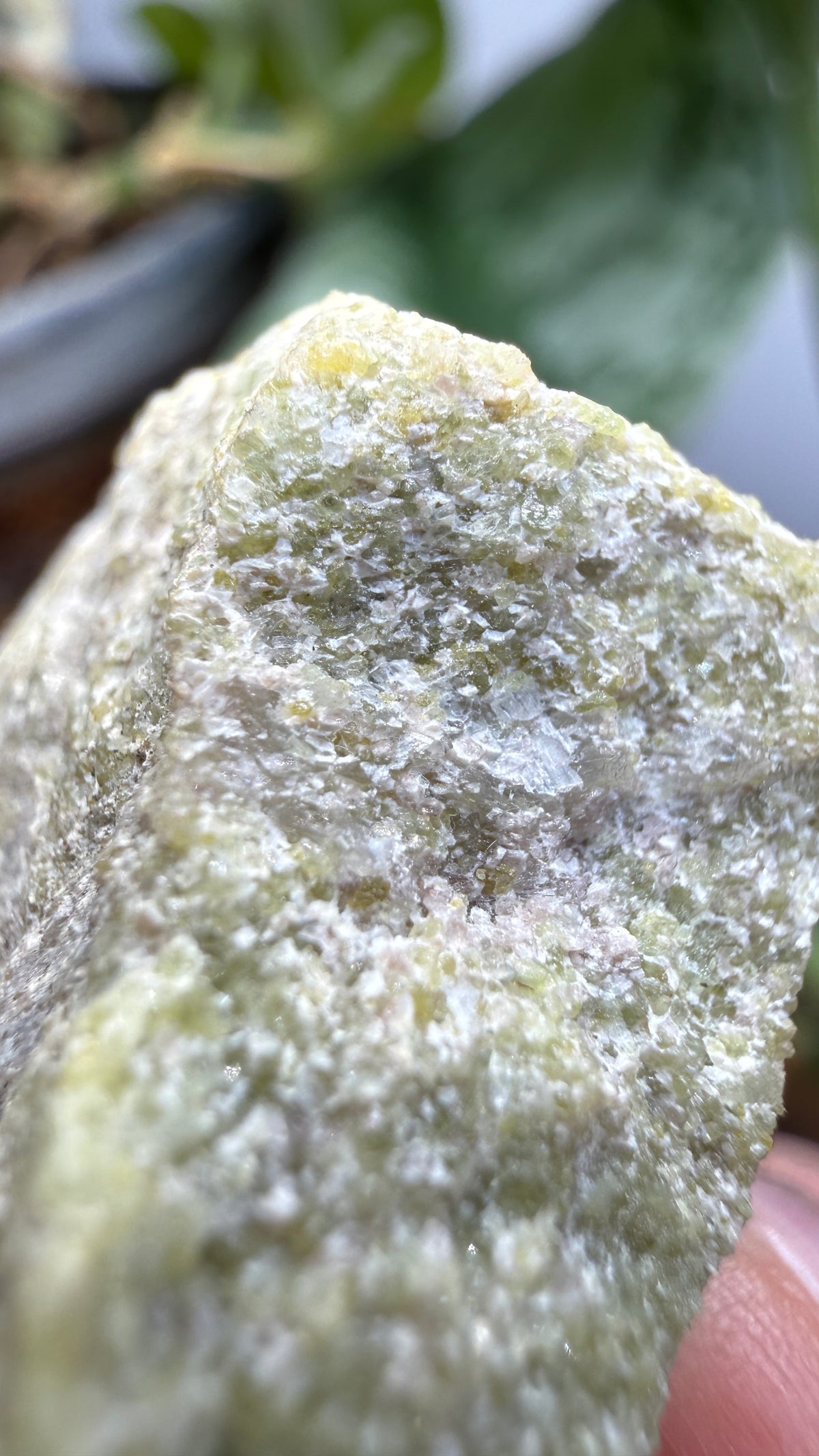 Wilkeite (Ellestadite) in Calcite- Crestmore Quarries, Jurupa Valley, Riverside Co, California, USA
