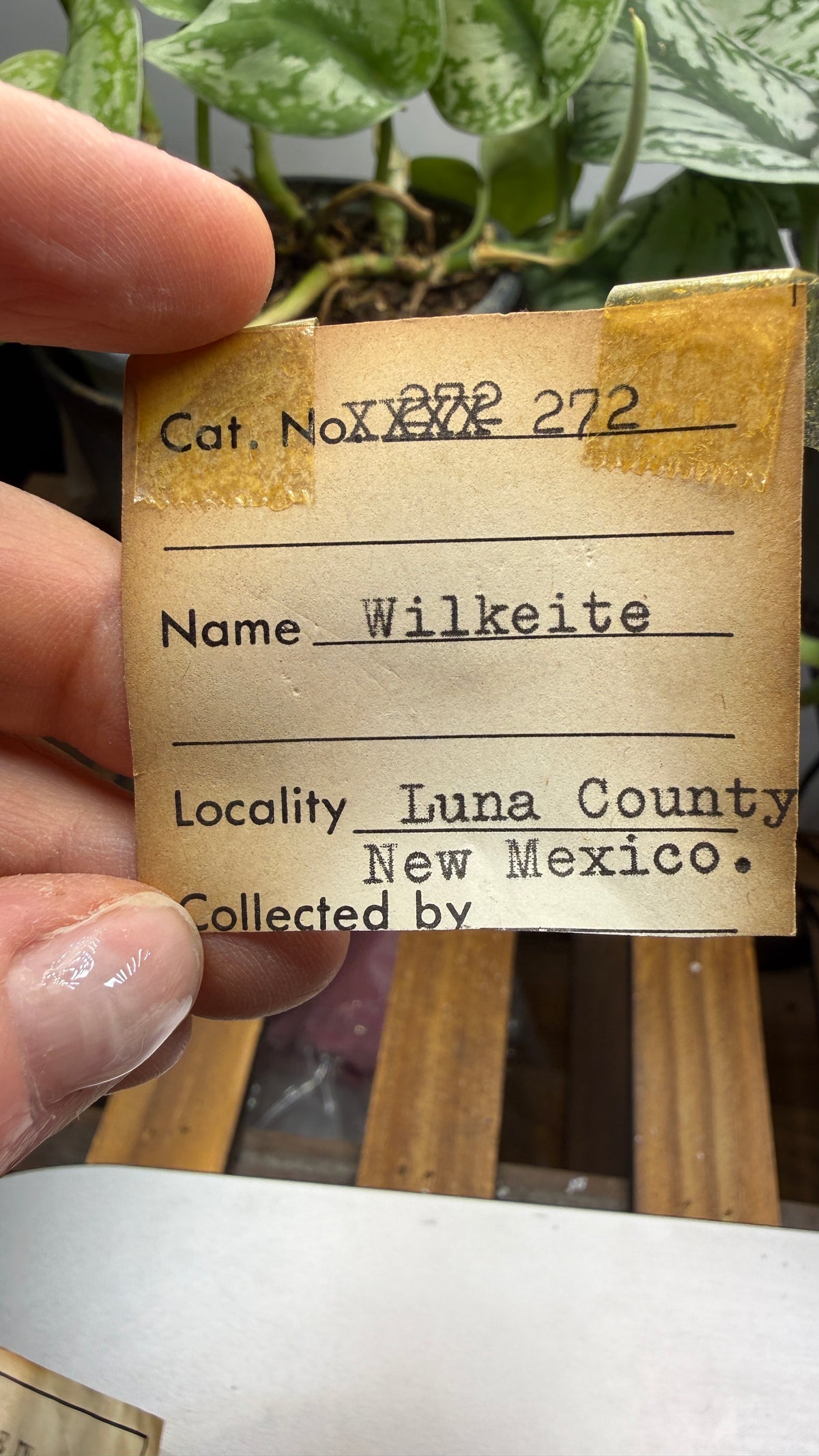 Wilkeite (Ellestadite) in Calcite- Crestmore Quarries, Jurupa Valley, Riverside Co, California, USA