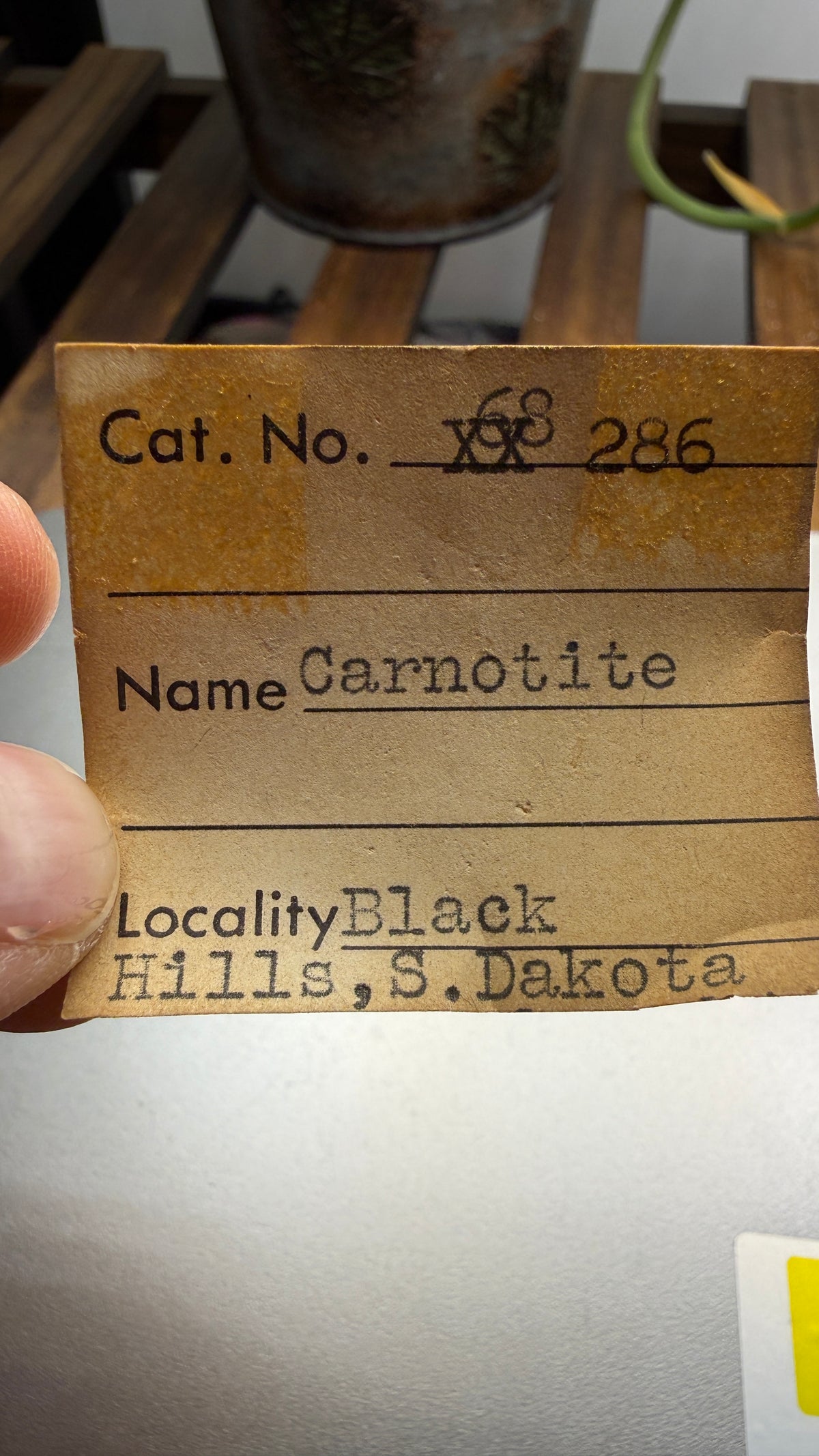 Carnotite- Edgemont Uranium Mining District, Fall River County, Black Hills, South Dakota, USA