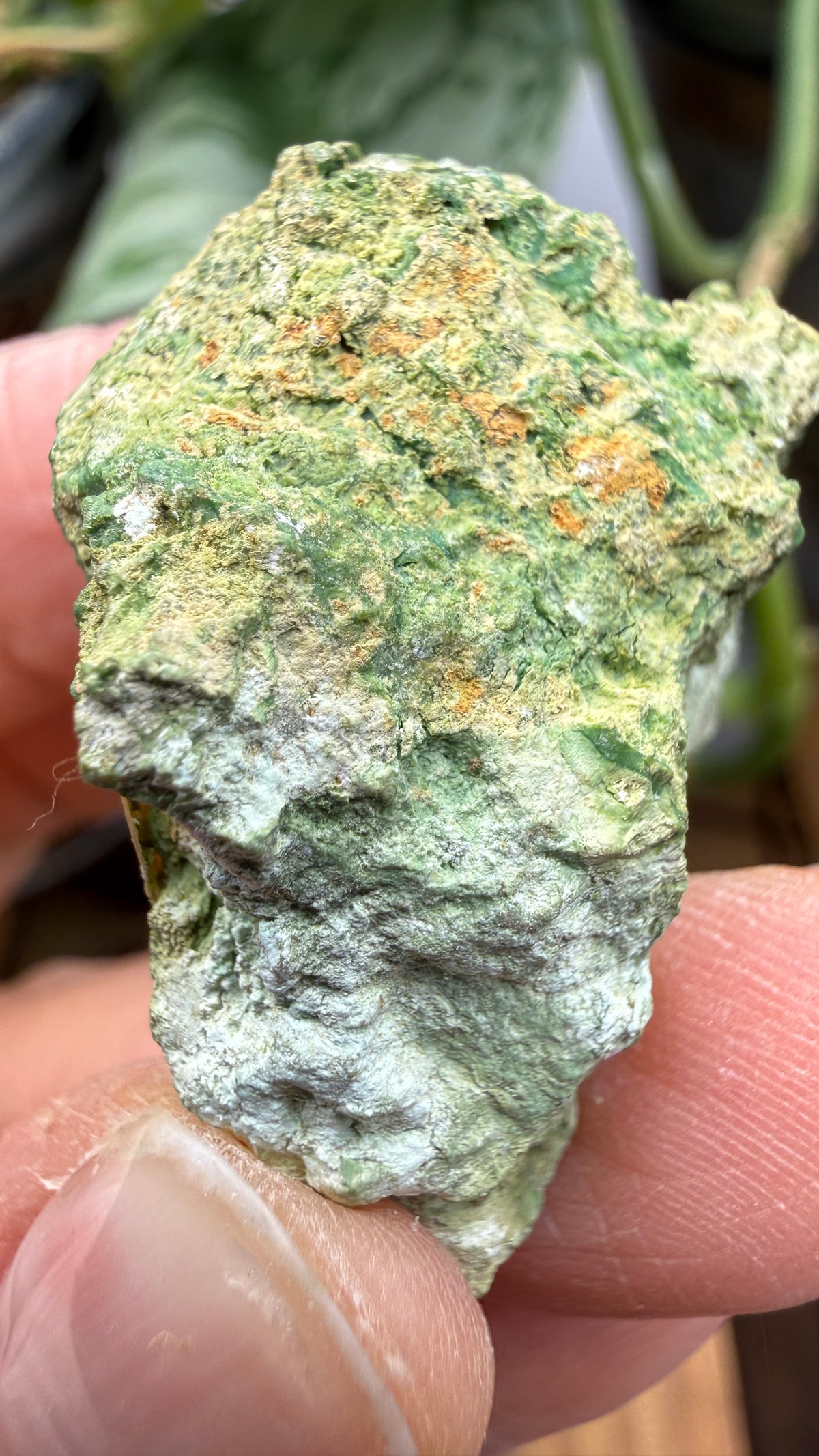 Annabergite with Dixenite- Cottonwood Canyon, Churchill County, Nevada, USA