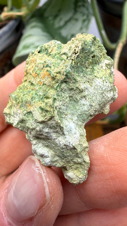 Annabergite with Dixenite- Cottonwood Canyon, Churchill County, Nevada, USA