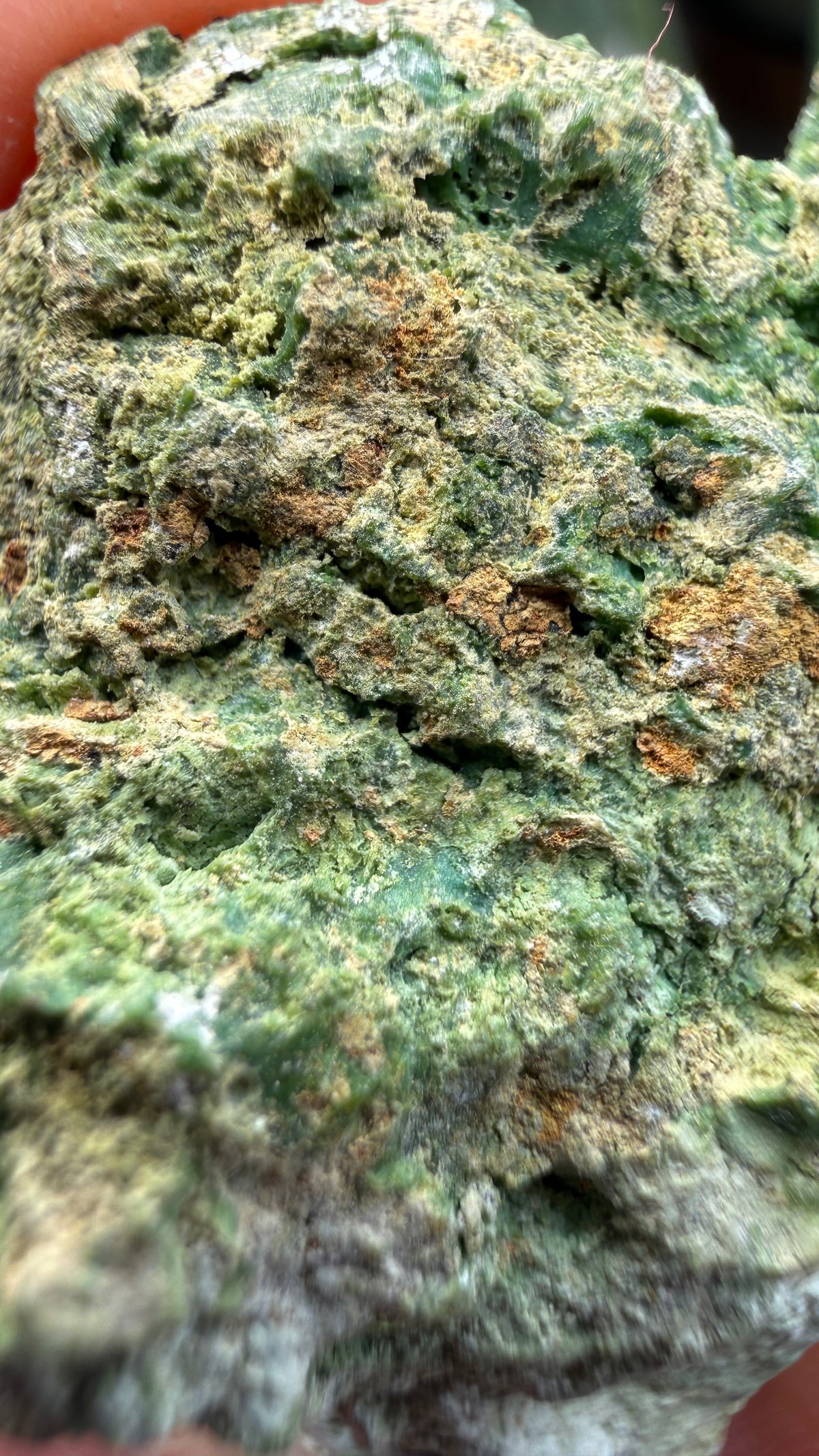 Annabergite with Dixenite- Cottonwood Canyon, Churchill County, Nevada, USA