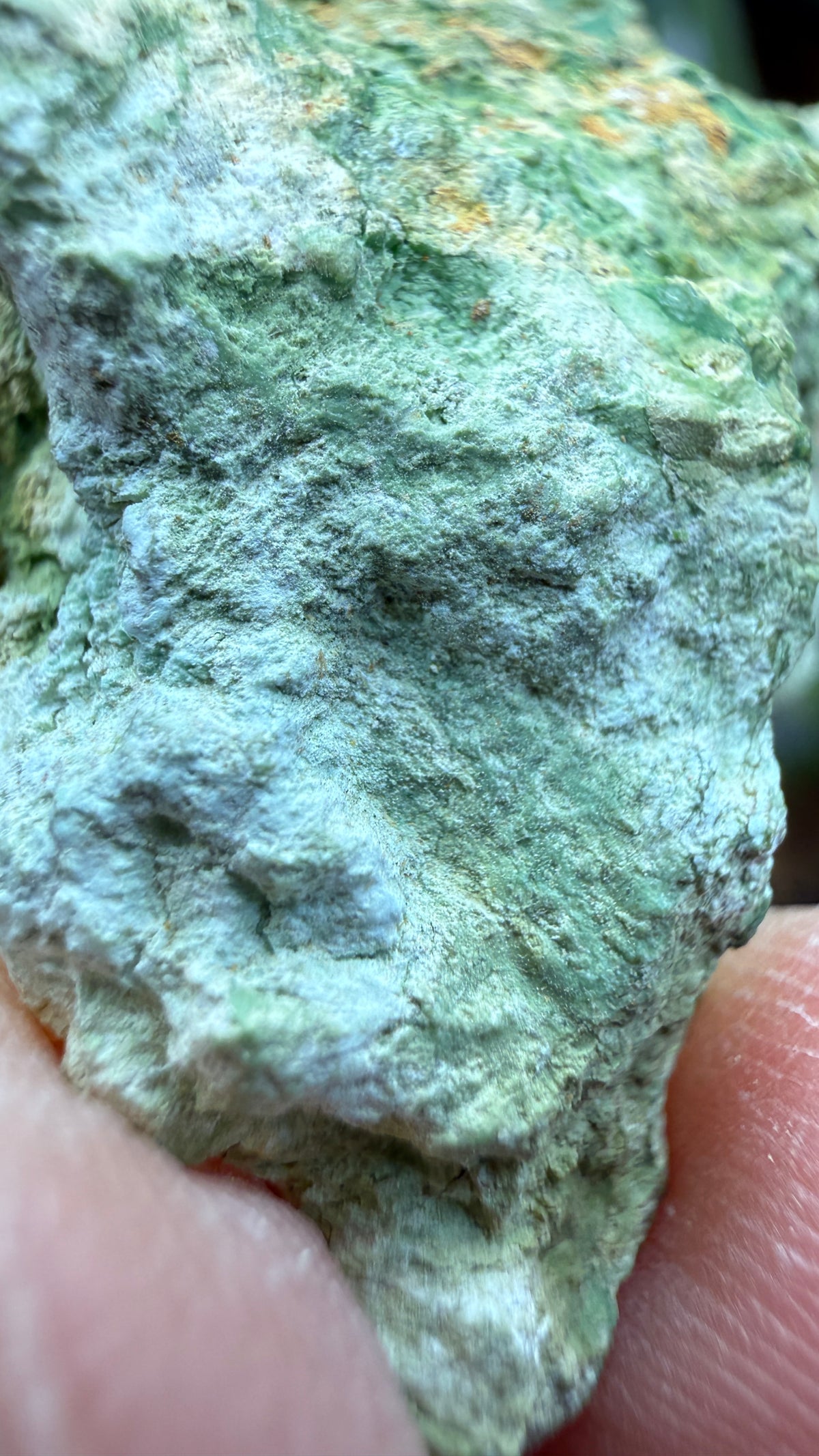 Annabergite with Dixenite- Cottonwood Canyon, Churchill County, Nevada, USA