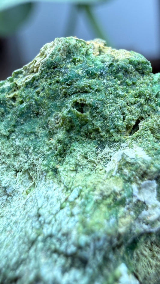 Annabergite with Dixenite- Cottonwood Canyon, Churchill County, Nevada, USA