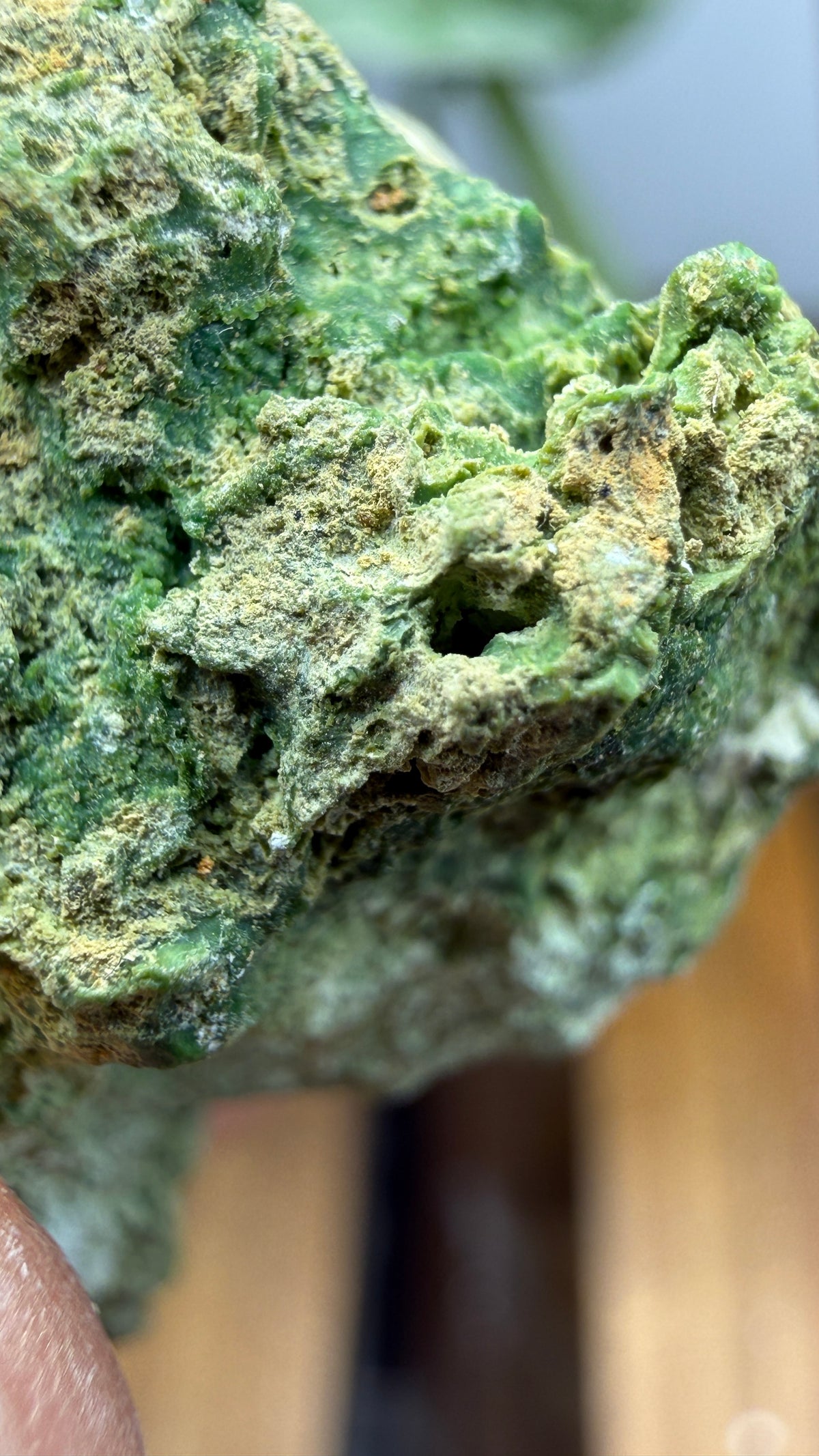Annabergite with Dixenite- Cottonwood Canyon, Churchill County, Nevada, USA