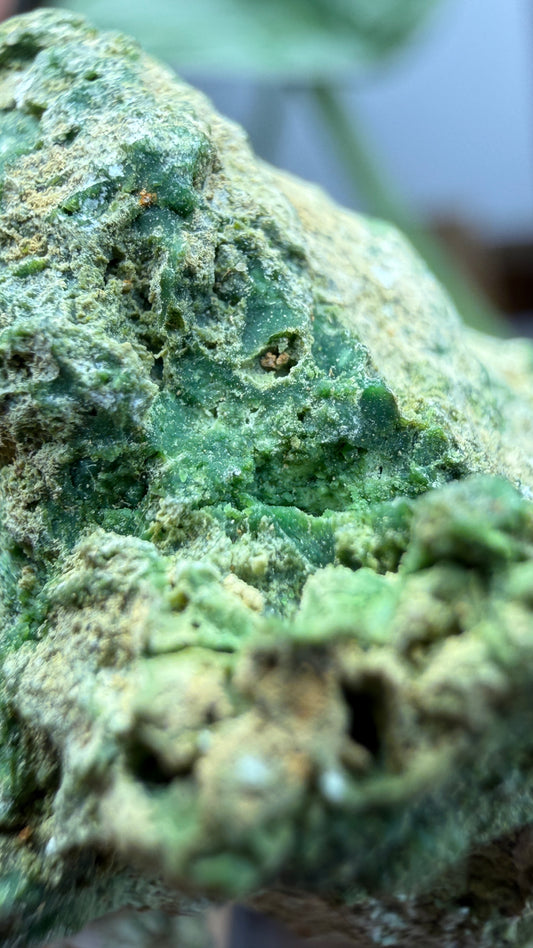 Annabergite with Dixenite- Cottonwood Canyon, Churchill County, Nevada, USA