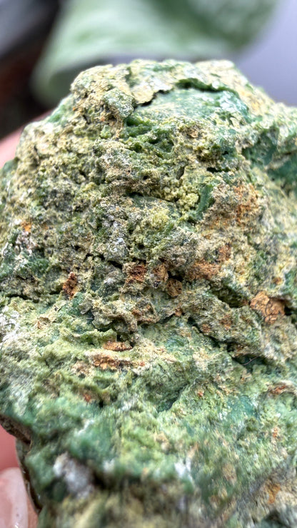 Annabergite with Dixenite- Cottonwood Canyon, Churchill County, Nevada, USA