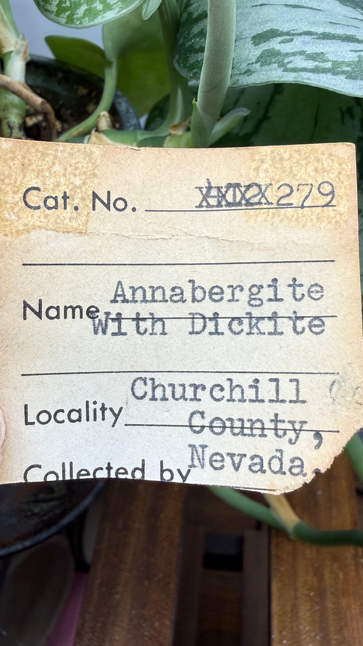 Annabergite with Dixenite- Cottonwood Canyon, Churchill County, Nevada, USA