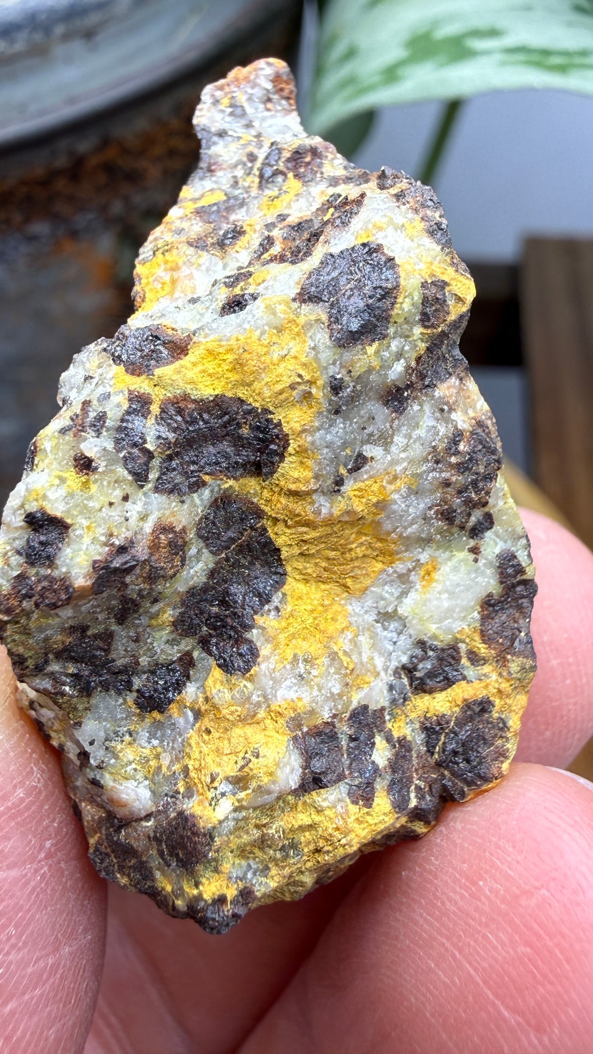 Bindheimite– Esmeralda County, Nevada