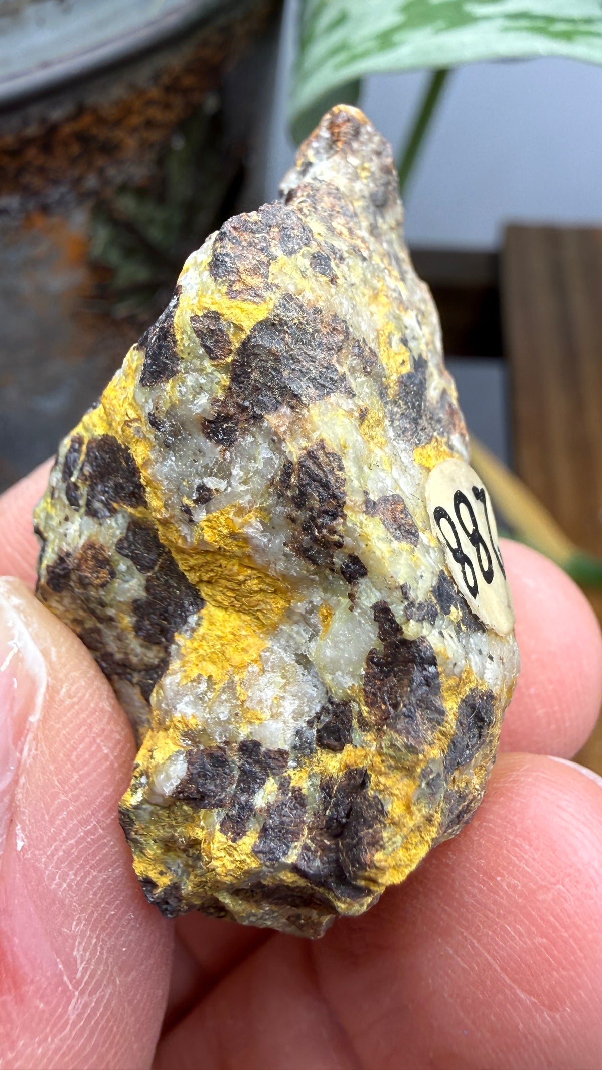 Bindheimite– Esmeralda County, Nevada