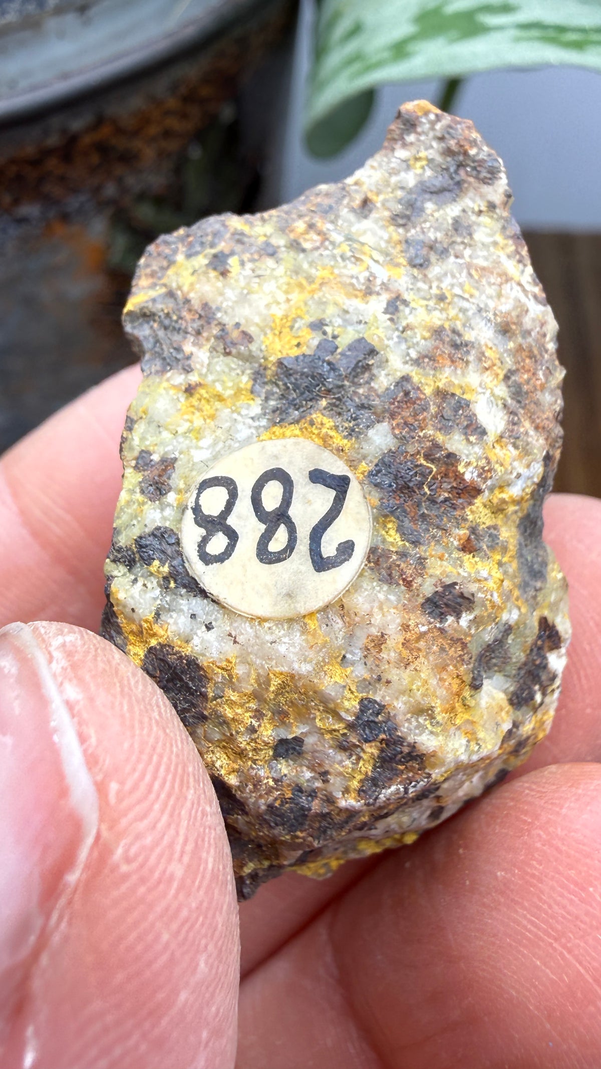 Bindheimite– Esmeralda County, Nevada