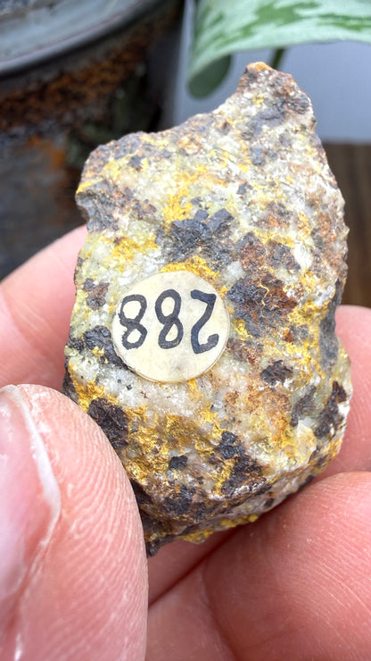 Bindheimite– Esmeralda County, Nevada