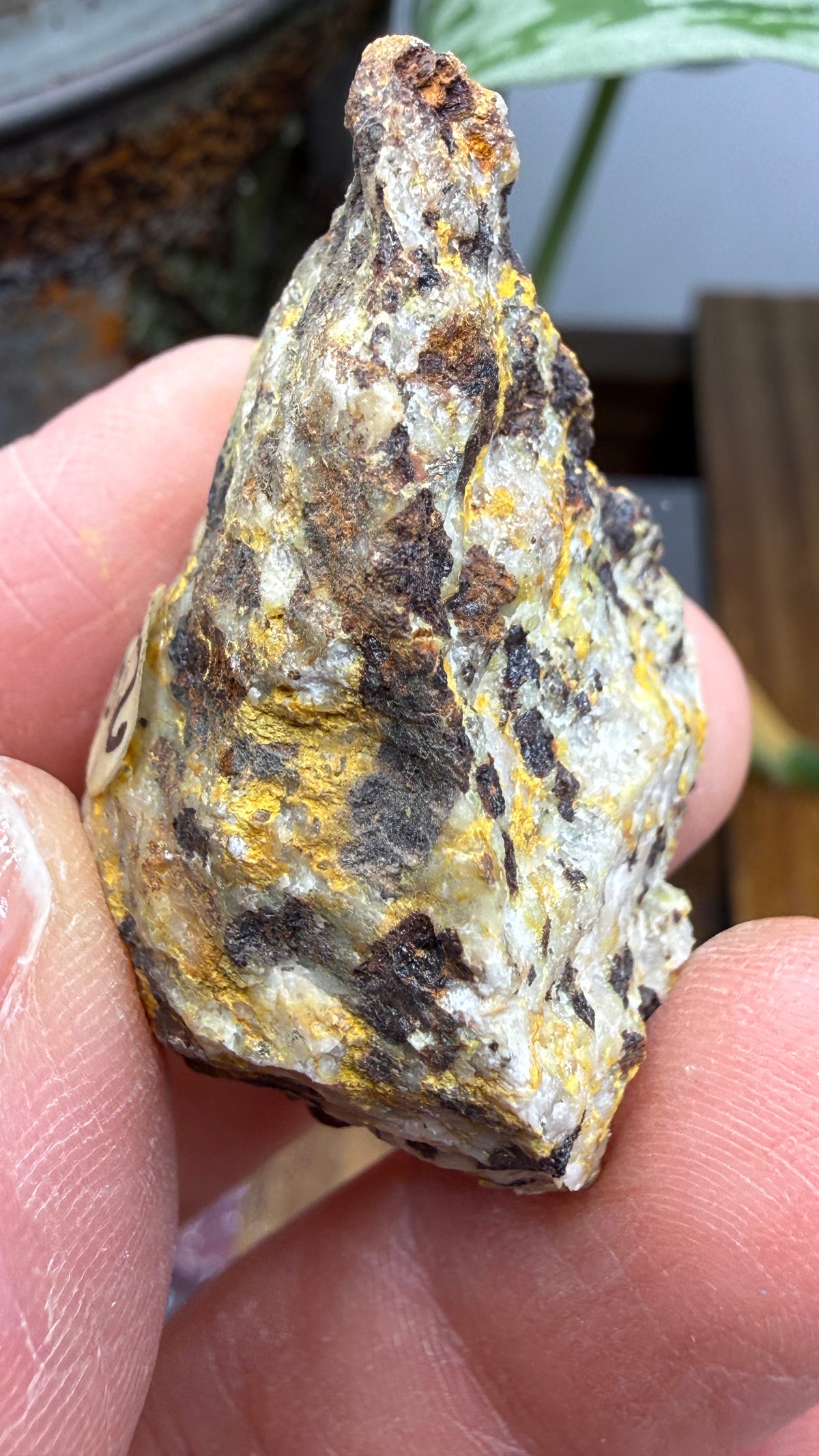 Bindheimite– Esmeralda County, Nevada