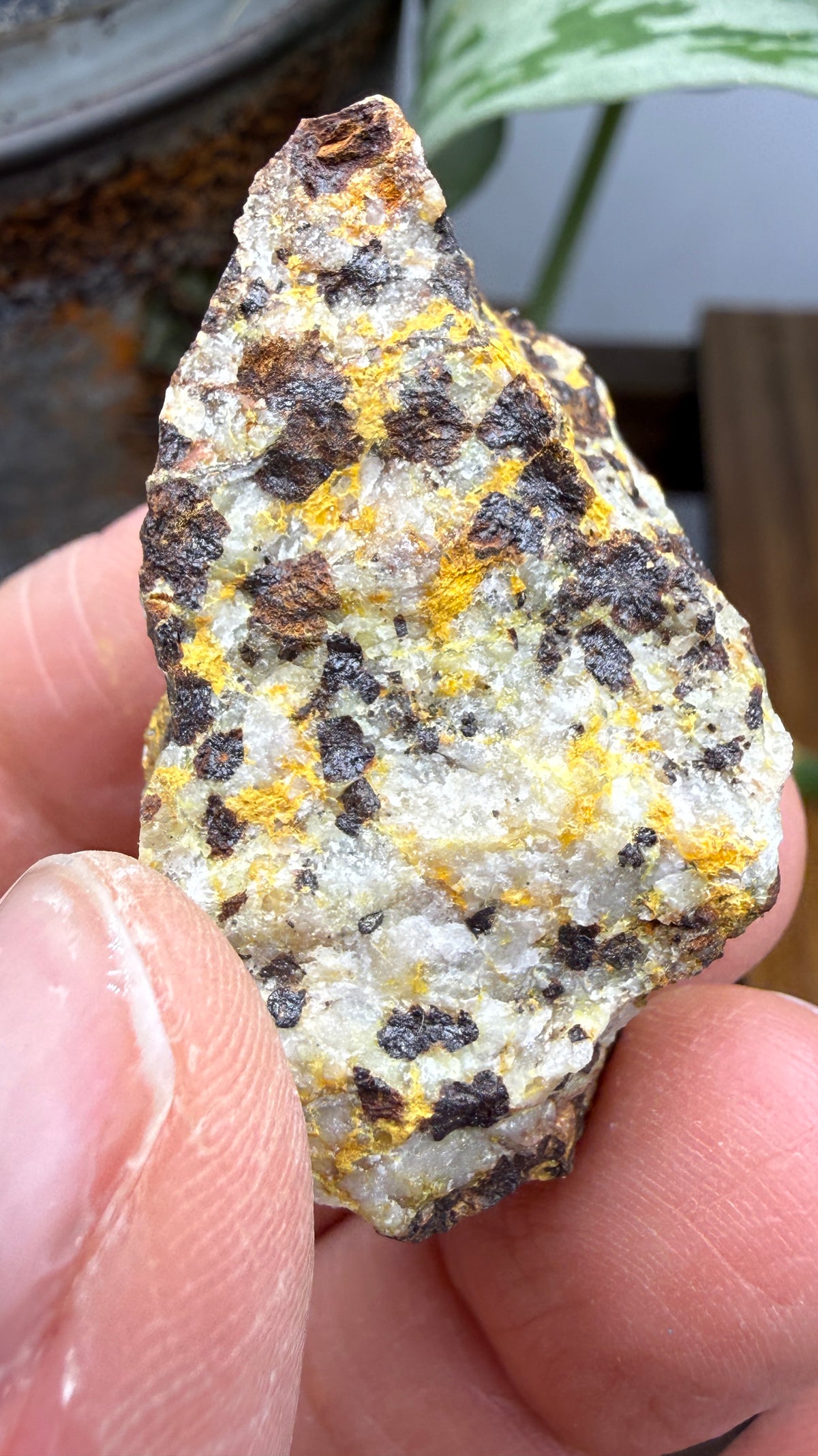Bindheimite– Esmeralda County, Nevada