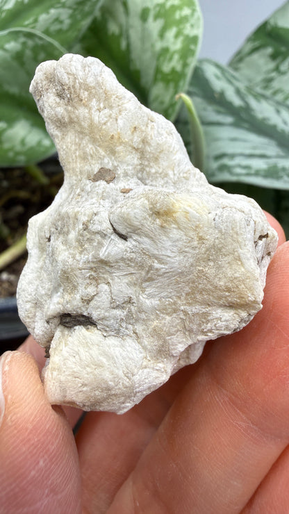 Ulexite– Nevada