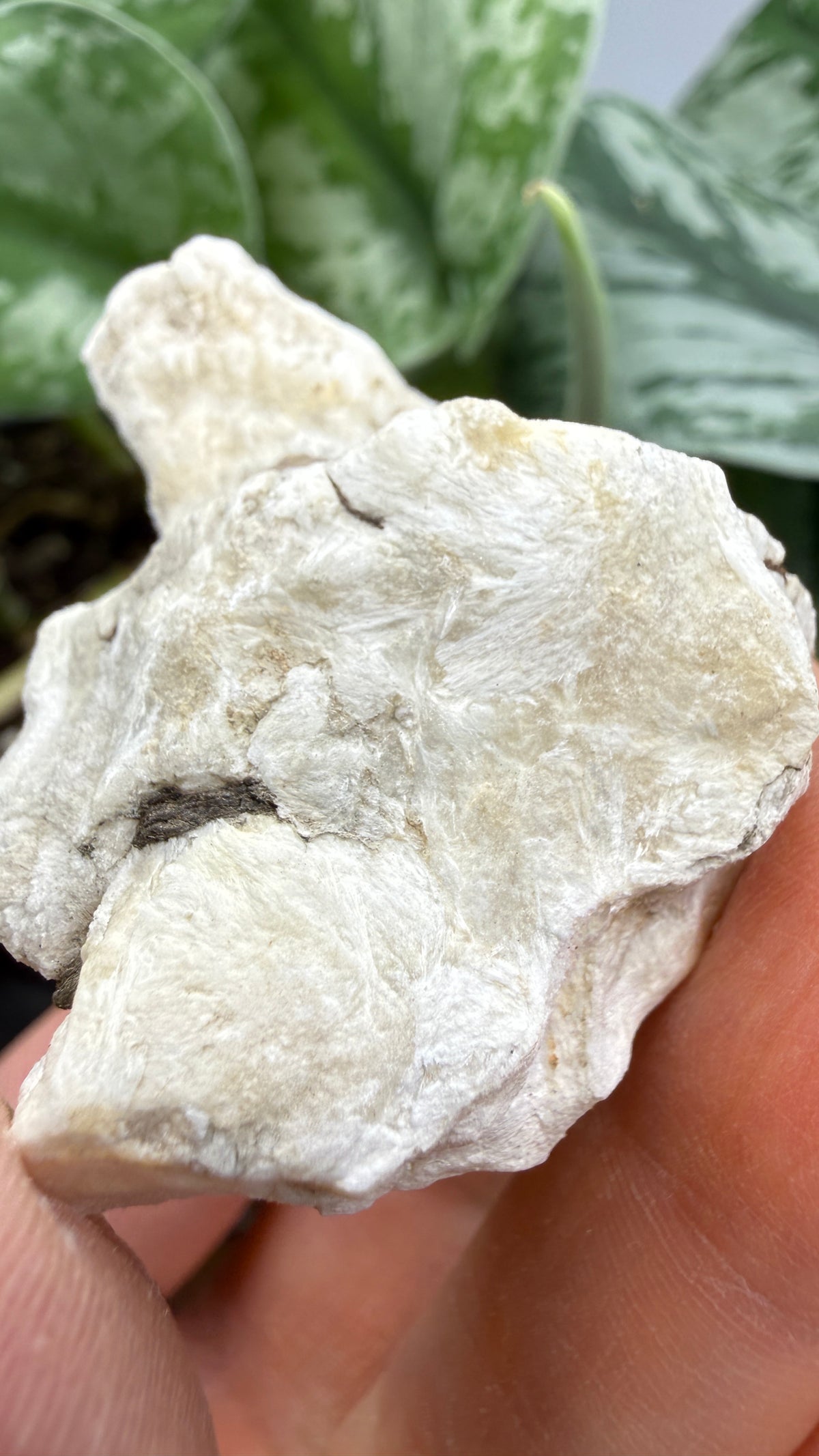 Ulexite– Nevada