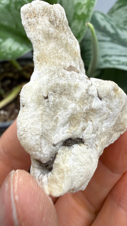 Ulexite– Nevada
