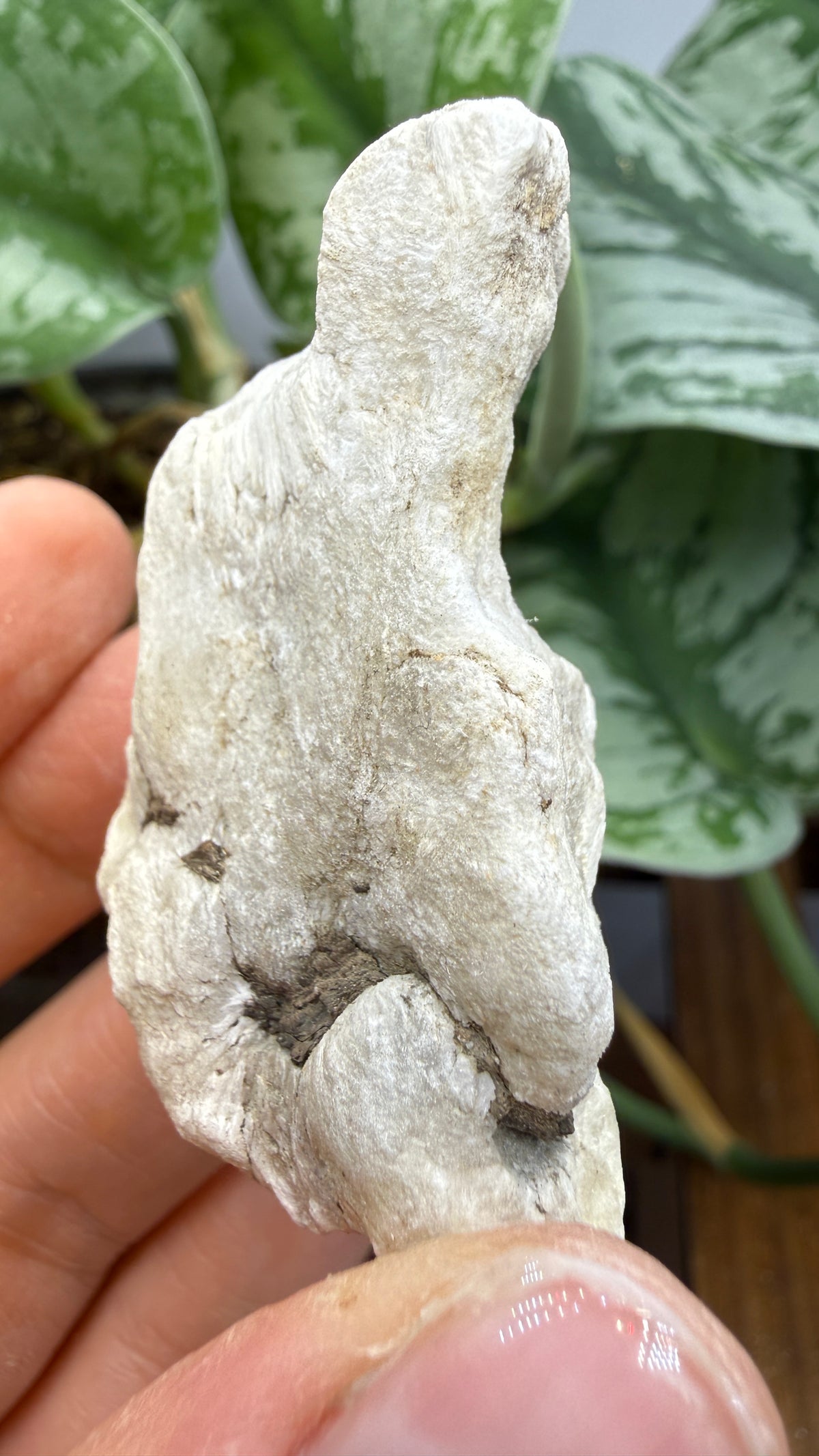 Ulexite– Nevada