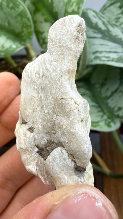 Ulexite– Nevada