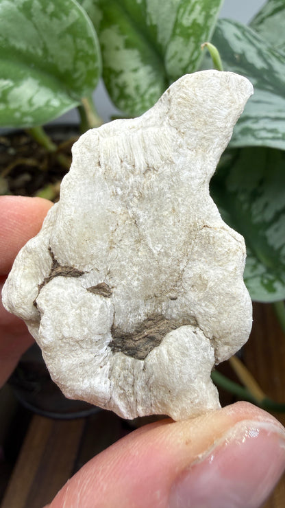 Ulexite– Nevada