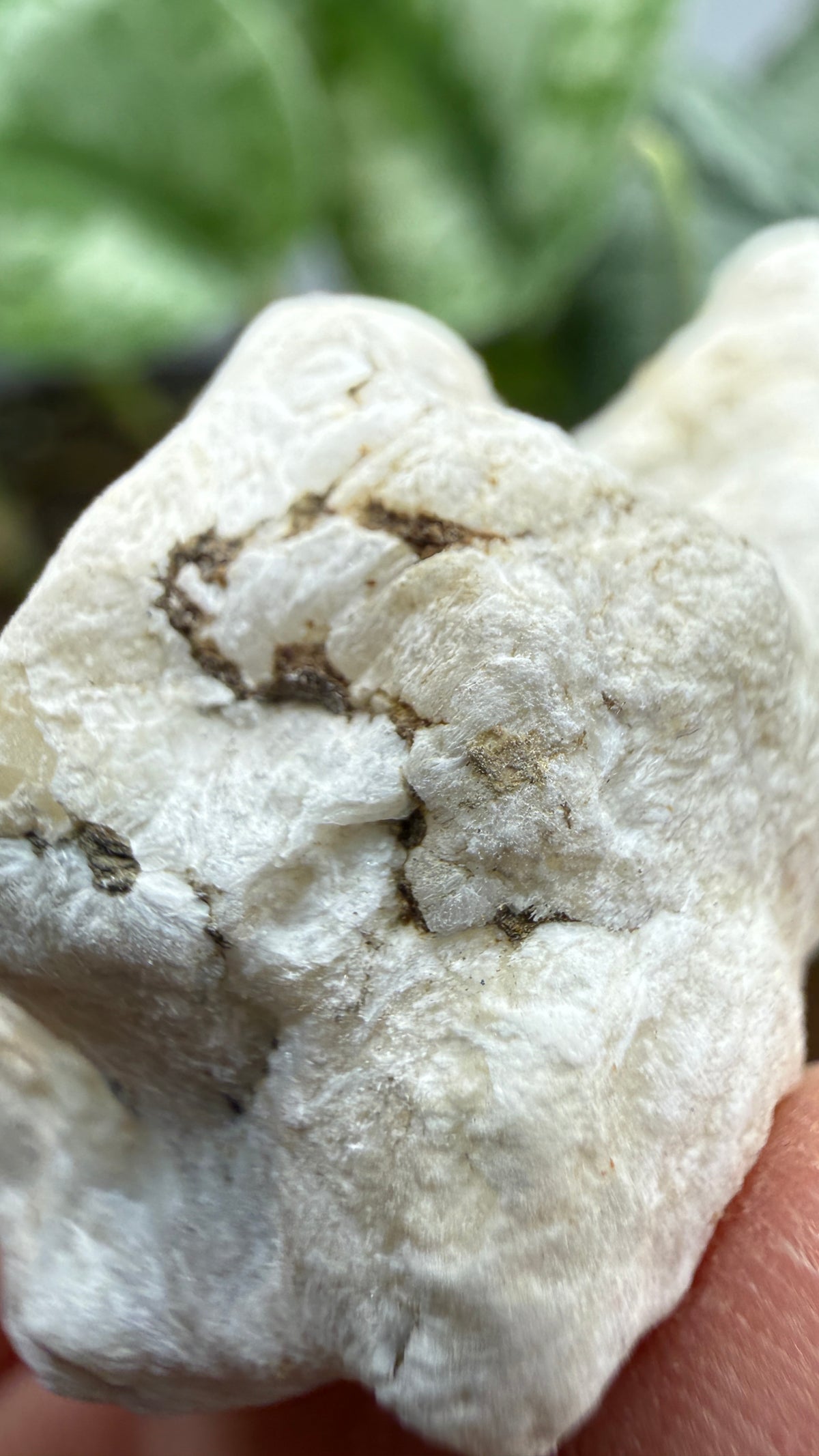 Ulexite– Nevada